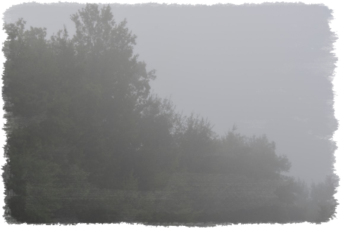 Poesia: La nebbia