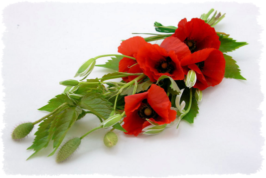 Bouquet