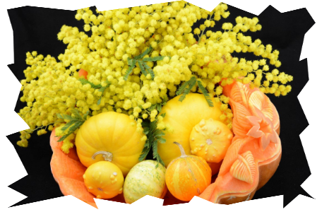 Zucca scolpita Mimosa