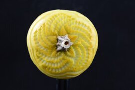 Zucca intagliata (30).JPG