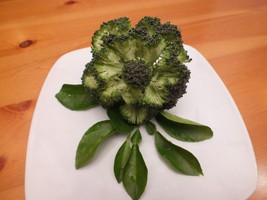 Vegetali-Frutta (1).JPG