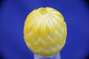 Vegetali-Frutta (29).JPG