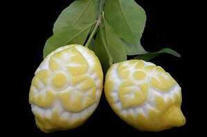 Vegetali-Frutta (40).JPG