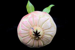 Vegetali-Frutta (59).JPG