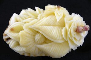 Vegetali-Frutta (68).JPG
