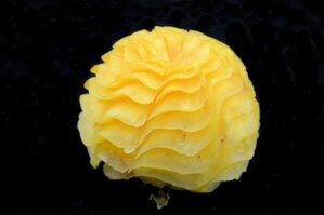 Vegetali-Frutta (88).JPG