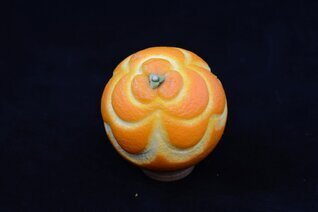 Arancia Intagliata (18).JPG