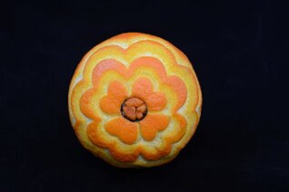 Arancia Intagliata (20).JPG