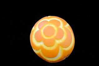 Arancia Intagliata (22).JPG