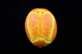 Arancia Intagliata (43).JPG