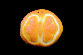 Arancia Intagliata (47).JPG