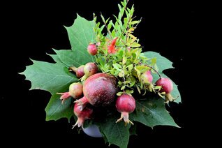 Mini Bouquets (10).JPG