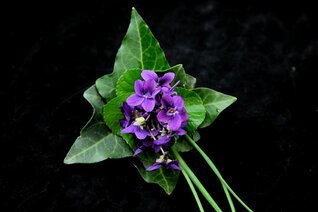 Mini Bouquets (14).JPG
