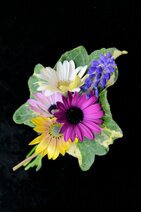 Mini Bouquets (17).JPG