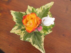Mini Bouquets (37).JPG