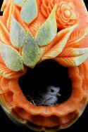Zucca intagliata (47).JPG