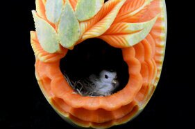 Zucca intagliata (50).JPG