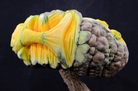 Zucca intagliata (55).JPG