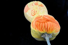 Zucca intagliata (59).JPG