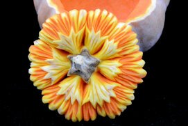 Zucca intagliata (13).JPG