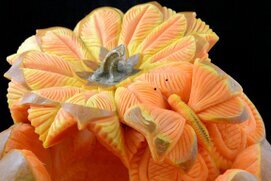 Zucca intagliata (30).JPG