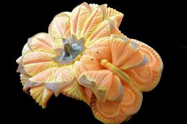 Zucca intagliata (33).JPG