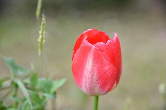 DSC_1150 (Medium).JPG