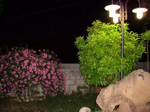 IMG_0631 (Medium).JPG