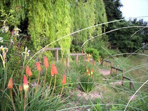 IMG_1233 (Medium).JPG